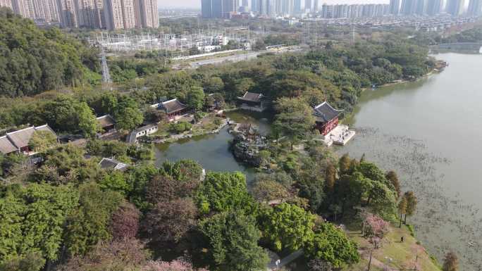 广东顺德顺峰山古寺4k航拍