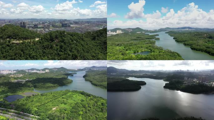 深圳南山西丽水库航拍