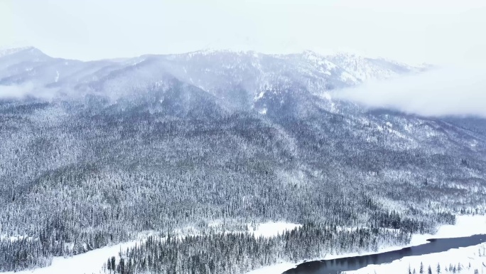 航拍冬天新疆被大雪覆盖的喀纳斯河谷