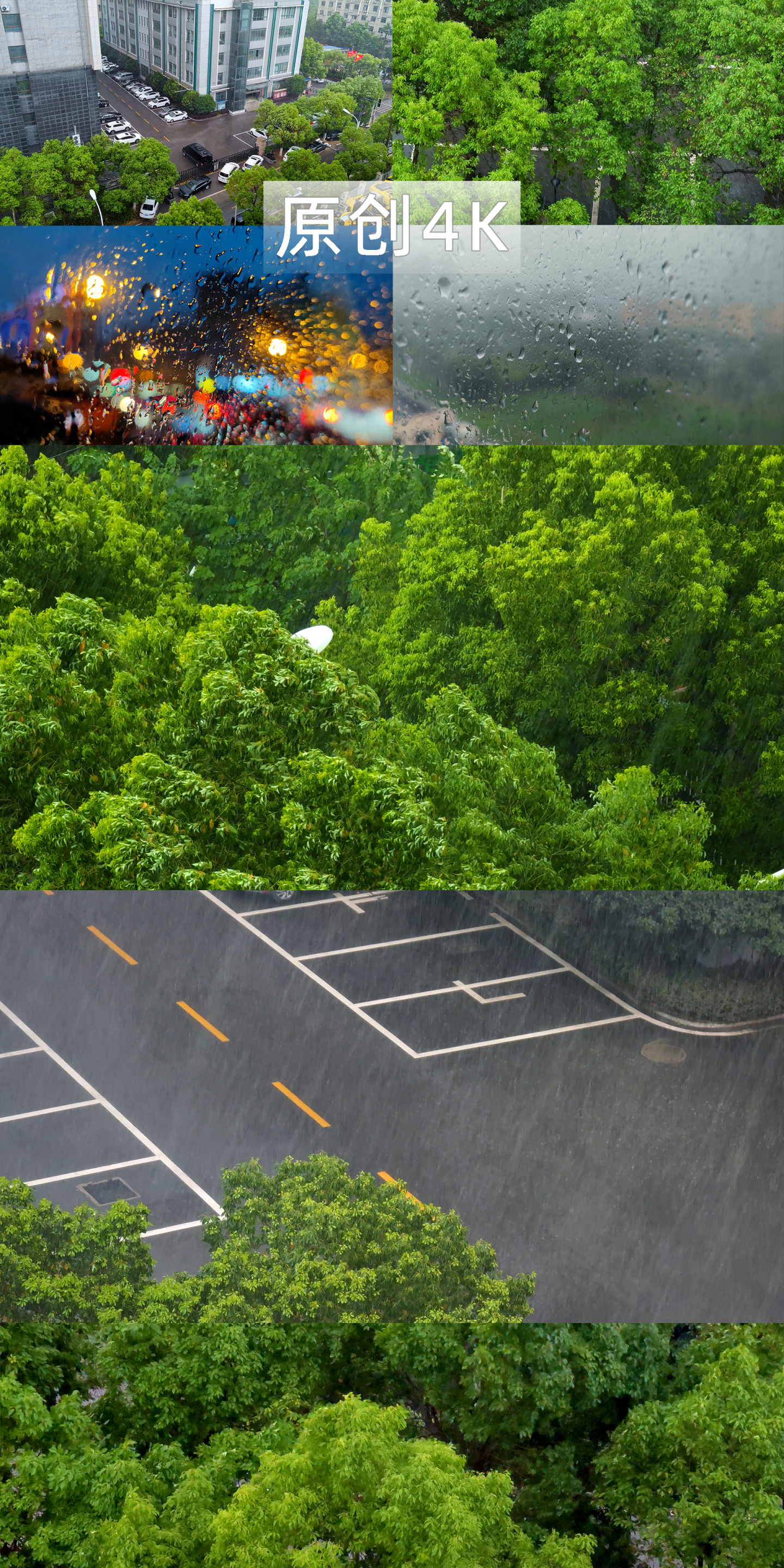 雨水惊蛰谷雨立春梅雨大雨窗外雨滴