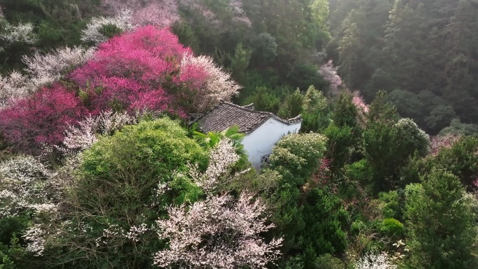 卖花渔村航拍