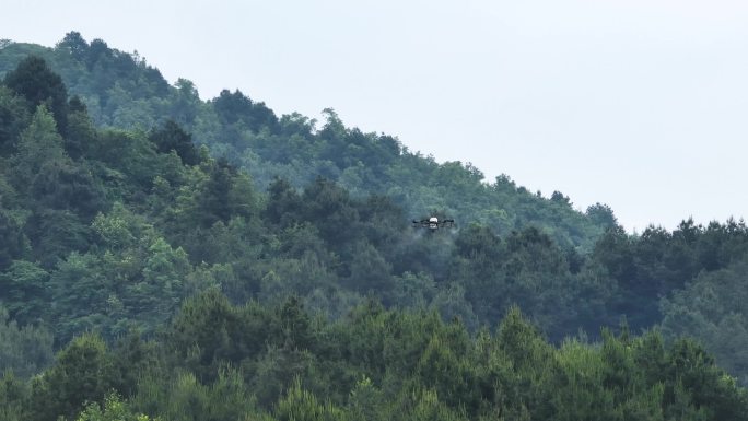 4K贵州山地无人机植保打农药