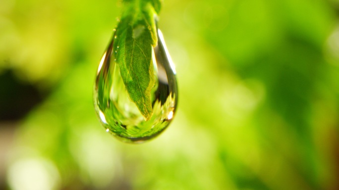 夏天 雨水 春天 惊蛰 节气