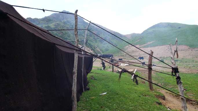 黑牦牛帐篷结构 非物质文化遗产黑帐篷