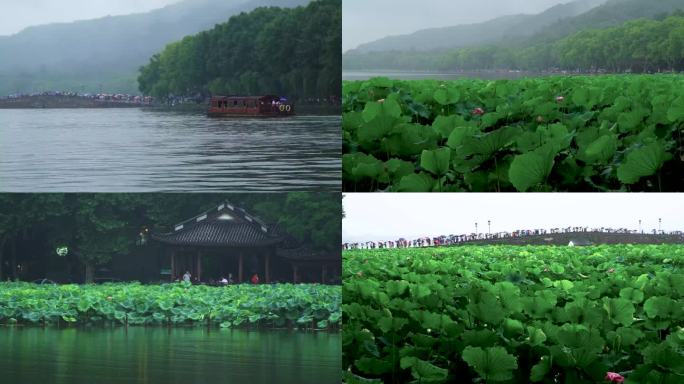 杭州西湖断桥景点下雨天4K视频合集
