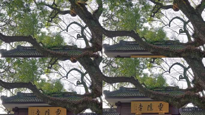 杭州灵隐寺 正门牌匾  寺庙