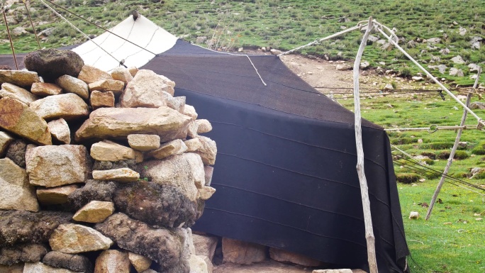 路去炊烟缭绕 牦牛黑帐篷里生活