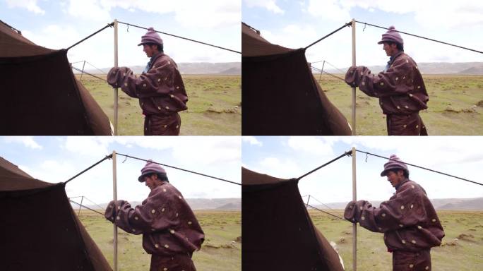 西藏牧民帐篷边柴火 牧区柴火