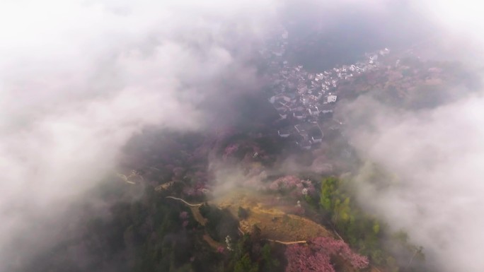 卖花渔村航拍