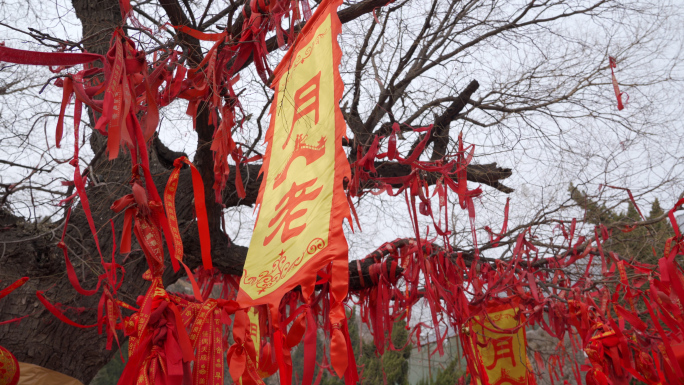 5条4K香火寺院祈福素材2