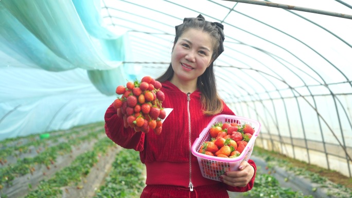 草莓采摘农业丰收幸福生活笑脸