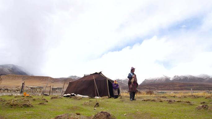 高原牧区帐篷 西藏牧民帐篷边柴火牧区柴火