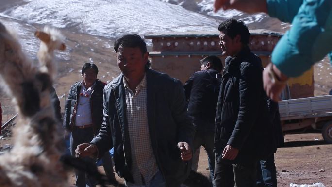 真实的西藏牧民 真实的高原牧民