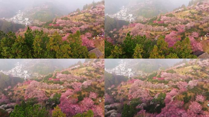 卖花渔村航拍