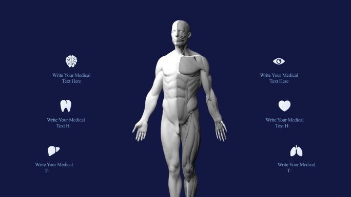 未来科技人体医疗展示片头
