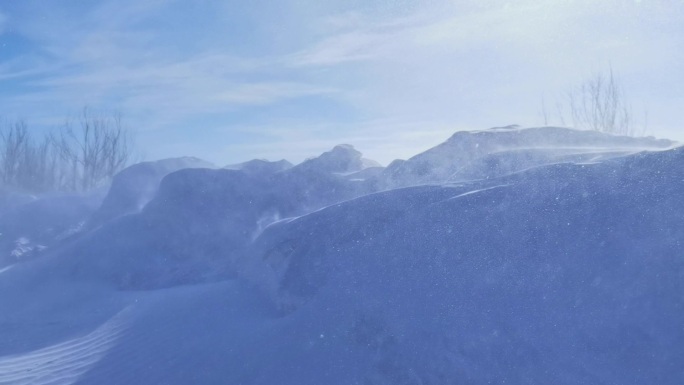 北方冬天的风吹雪白毛风雪景