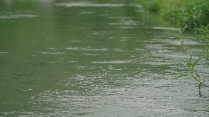 小桥流水 石拱桥 河水 景区 山区大自然