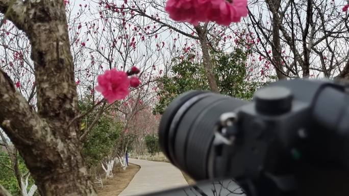 摄影师户外拍摄摄影记者风格摄影师园林摄影