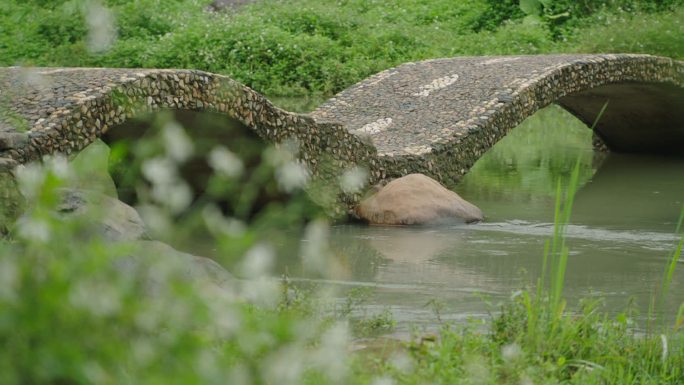 小桥流水 石拱桥 河水 景区 山区大自然