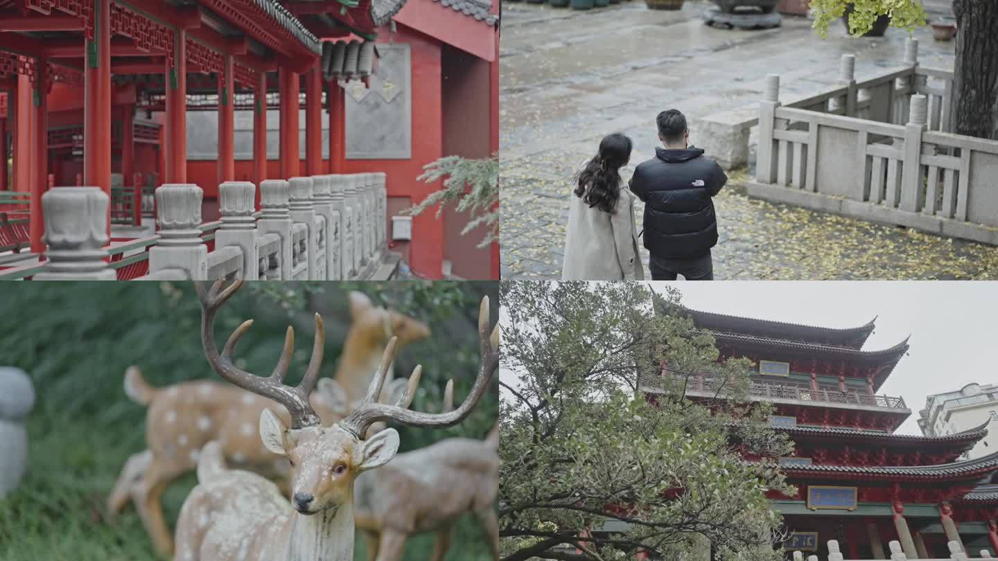 【高清50P】毗卢寺银杏飘雨