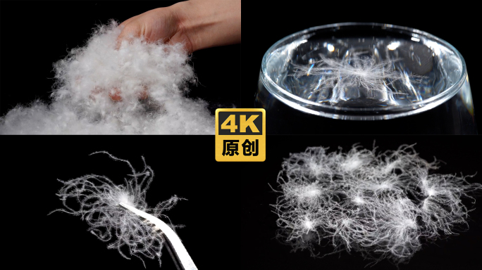 羽绒鸭绒鹅绒绒朵羽绒服羽绒被广告