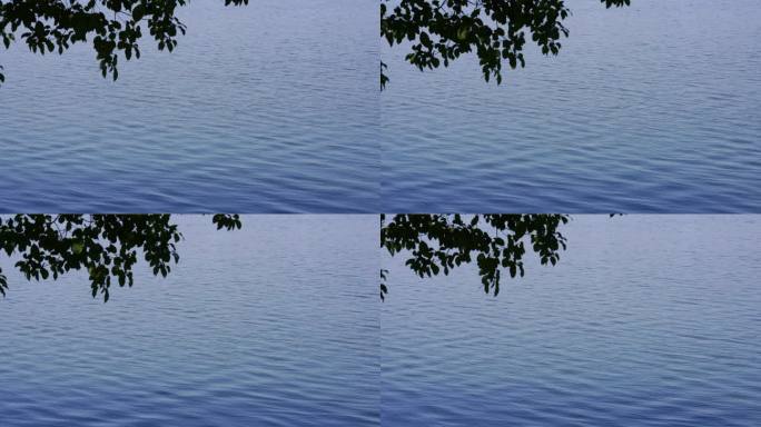 湖水波纹慢镜头