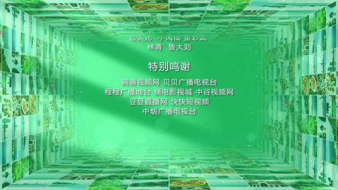 无插件】4K照片空间唯美文字AE模板绿色