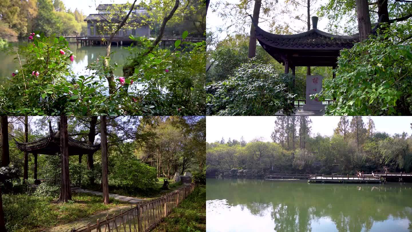 杭州西湖三堤杨公堤景观4K视频合集