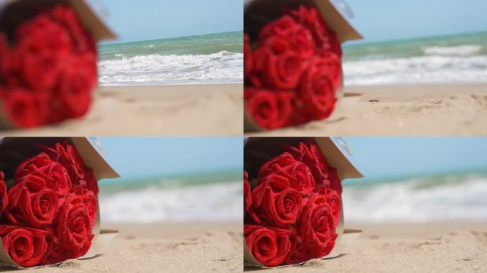玫瑰花沙滩海浪