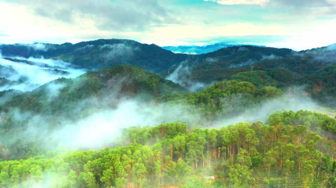 海南五指山热带雨林国家森林公园云海航拍
