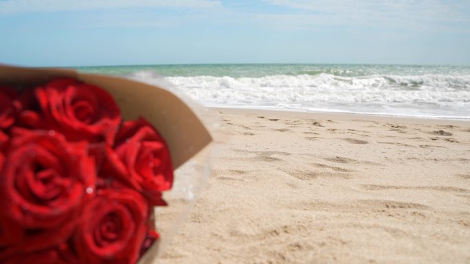 海边沙滩玫瑰花