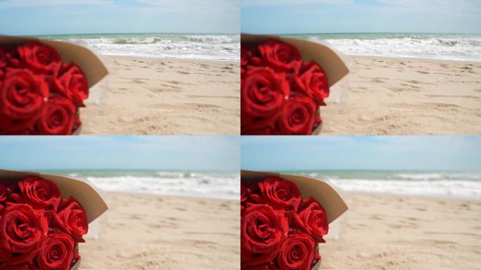 海边沙滩玫瑰花