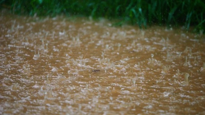 雨水 暴雨 升格视频