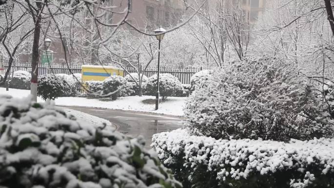 小区雪景 城市雪景 冬天