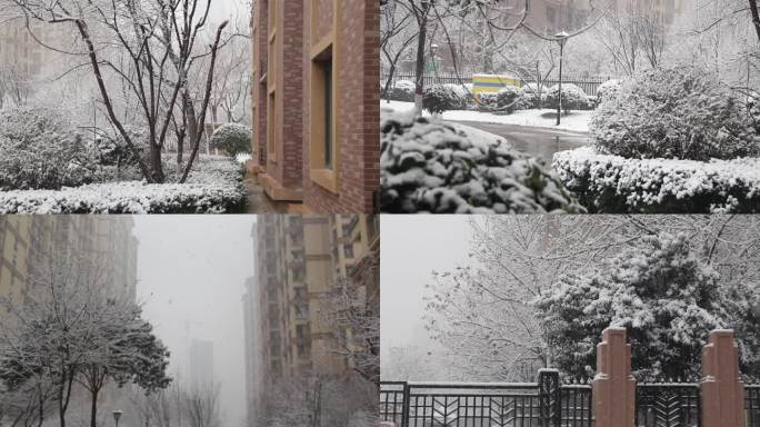 小区雪景 城市雪景 冬天