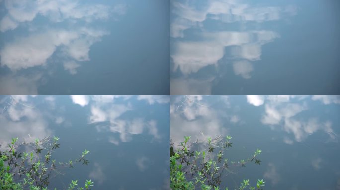 （原创可商）杭州西湖曲院风荷蓝天水中倒影