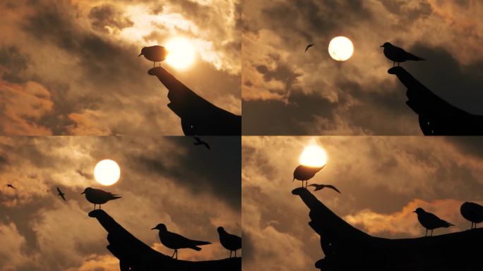 夕阳与飞檐上的海鸥