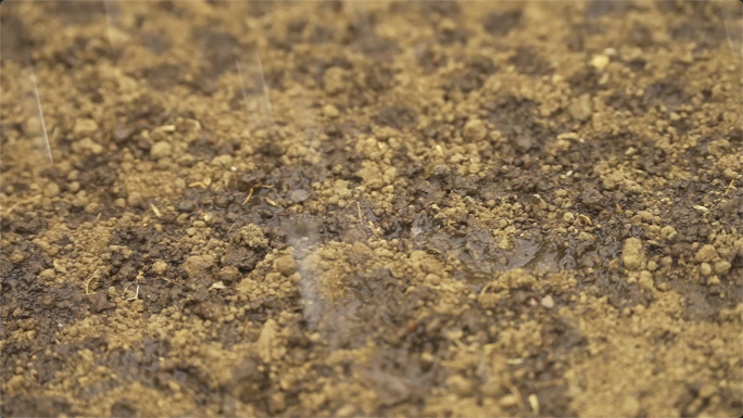 下雨甘霖雨水滴滴落在干旱的泥土上特写镜头