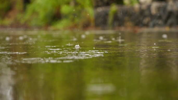 雨水