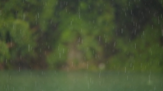 雨水 春雨