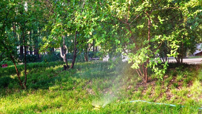 绿化喷灌浇水