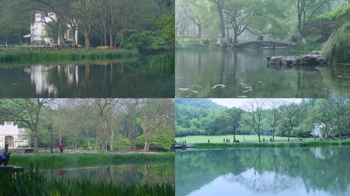 杭州西湖太子湾公园早晨梦幻雾景4K视频
