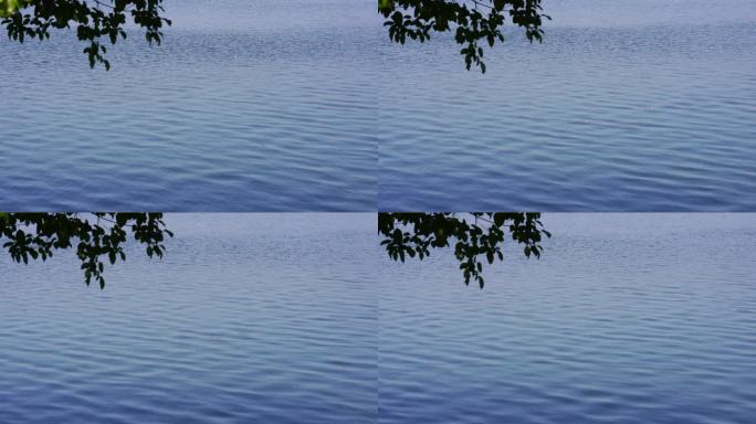 湖水波纹镜头