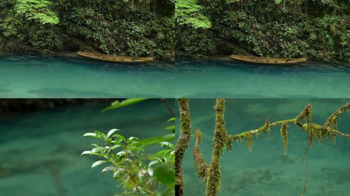 青山绿水青苔大自然生态环境