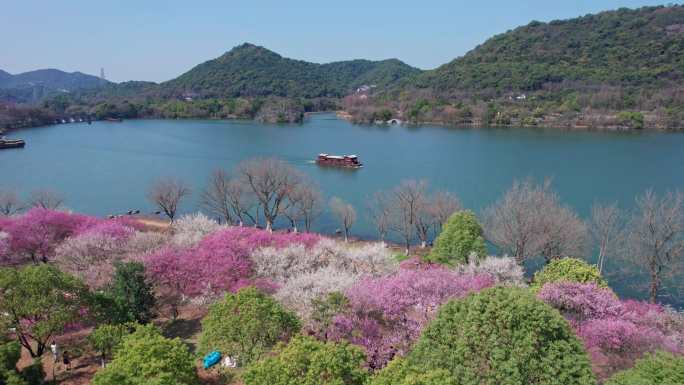 航拍杭州湘湖梅花游船