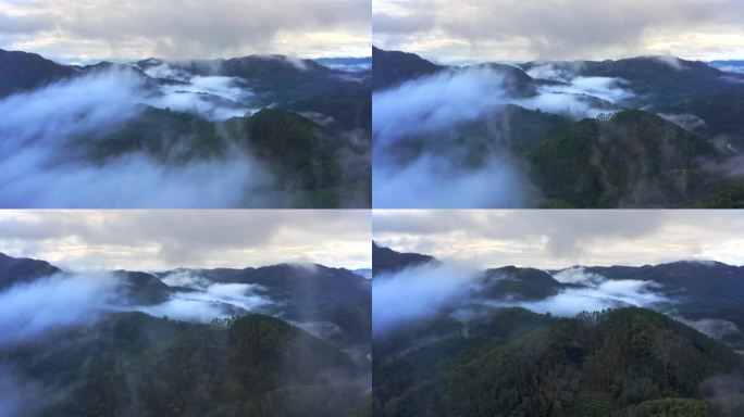 海南五指山热带雨林国家森林公园云海航拍