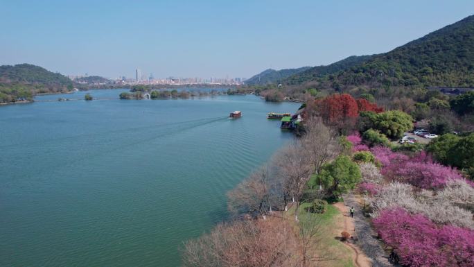 航拍杭州湘湖梅花游船美景