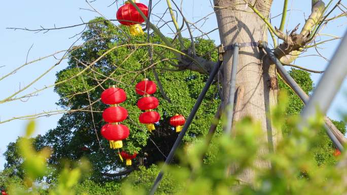 城市春节节日氛围实拍