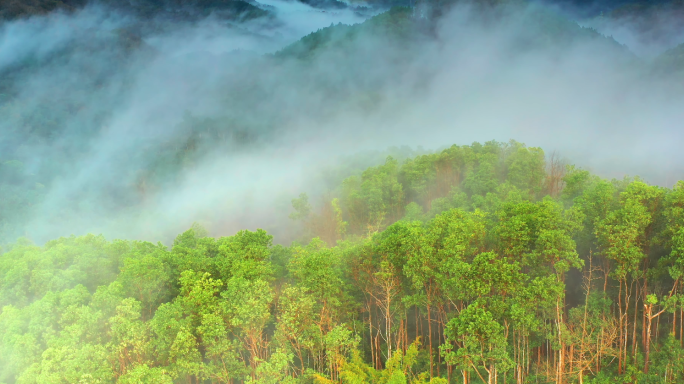 海南五指山热带雨林国家森林公园云海航拍