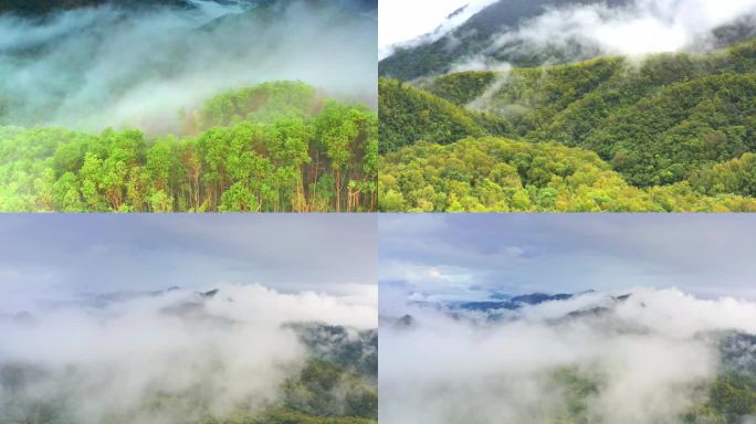 海南五指山热带雨林国家森林公园云海航拍